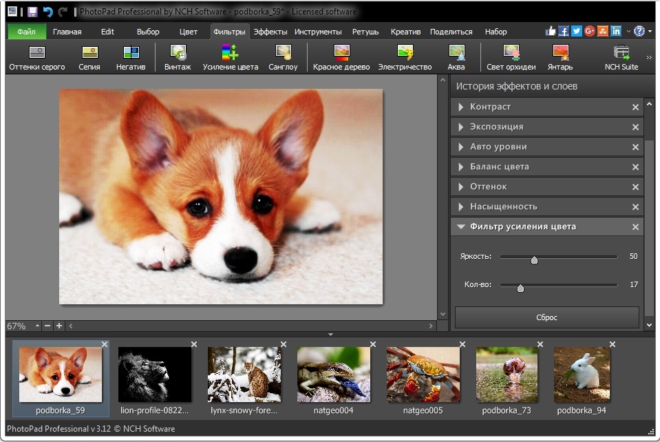 Free windows video editing software download