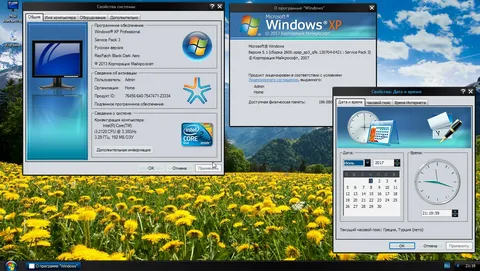 Free windows xp download software